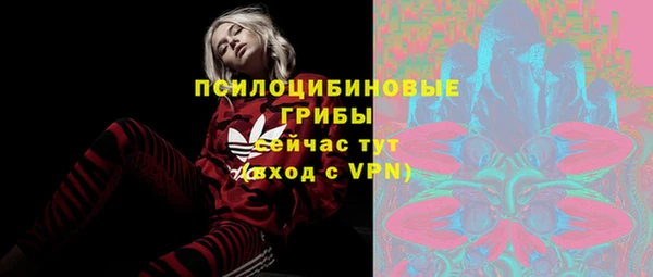 гидра Лабытнанги