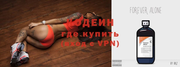 твердый Ладушкин