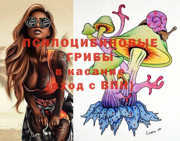 гидра Лабытнанги