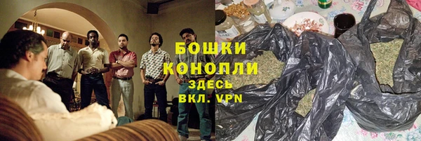 твердый Ладушкин