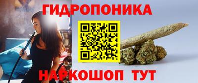 молекула духа Обнинск