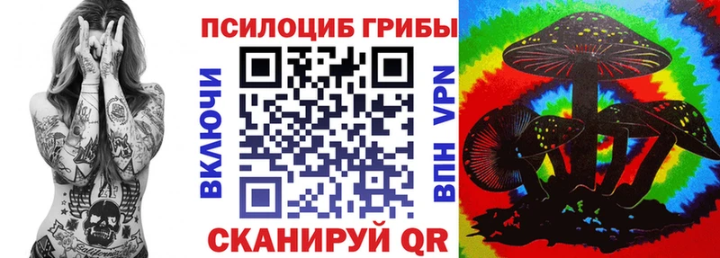 Галлюциногенные грибы Psilocybe где найти наркотики Тында